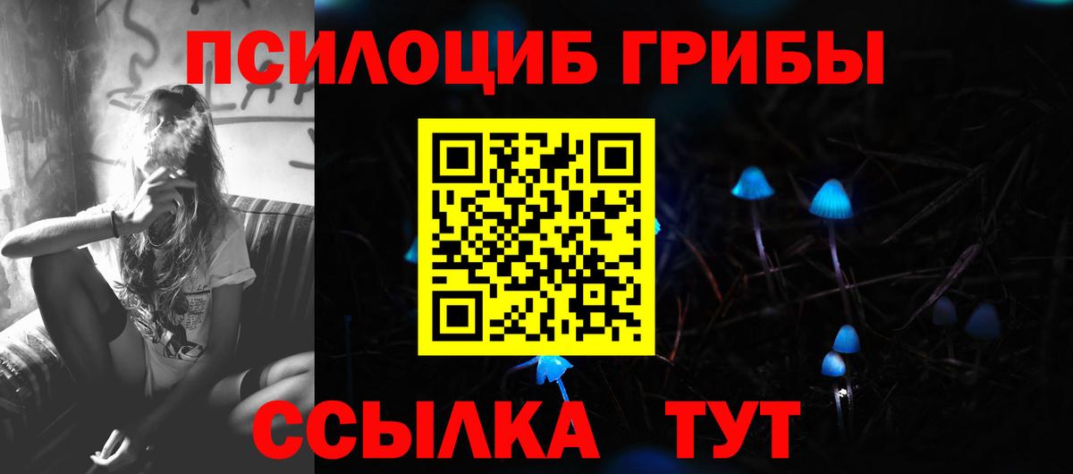 Псилоцибиновые грибы ЛСД Павлово